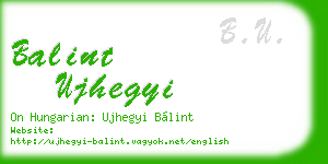 balint ujhegyi business card